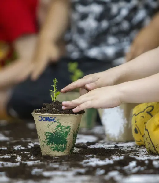 Clim-Acción: cómo impulsar la acción climática desde la educación