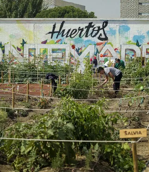 Huertos Montemadrid, cultiva en tu ciudad