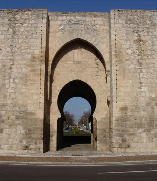 Patrimonio: Puerta de Toledo (Ciudad Real)