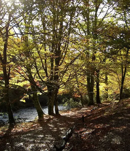 Fundación Montemadrid en la Sierra del Rincón