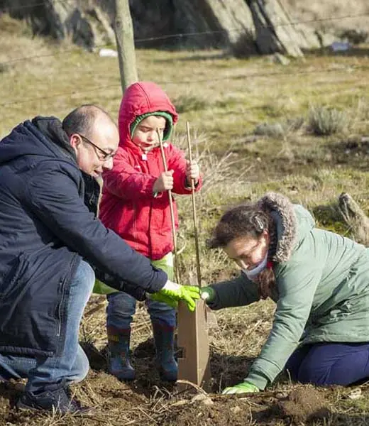 Voluntariado medioambiental con empresas e instituciones