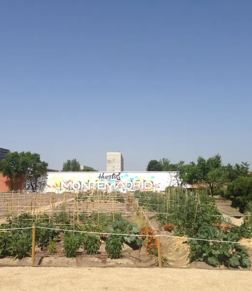 Huertos Montemadrid: semillas para la integración