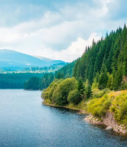 La convocatoria de ayudas para proyectos medioambientales llegará en septiembre