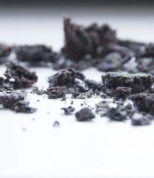 Exposición Inéditos 2024