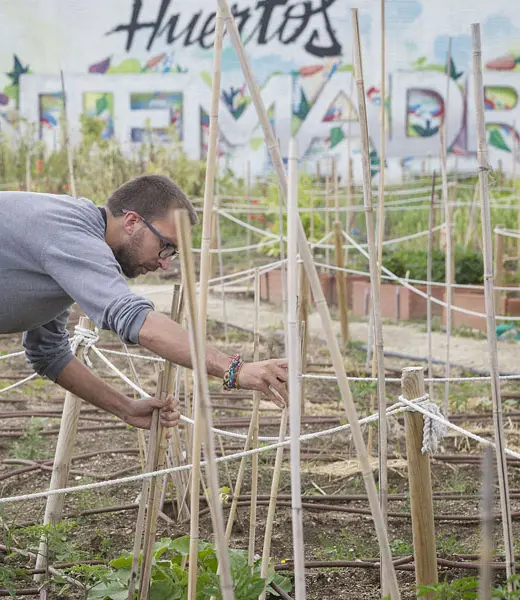 SOLD OUT: 100% de ocupación en Huertos Montemadrid