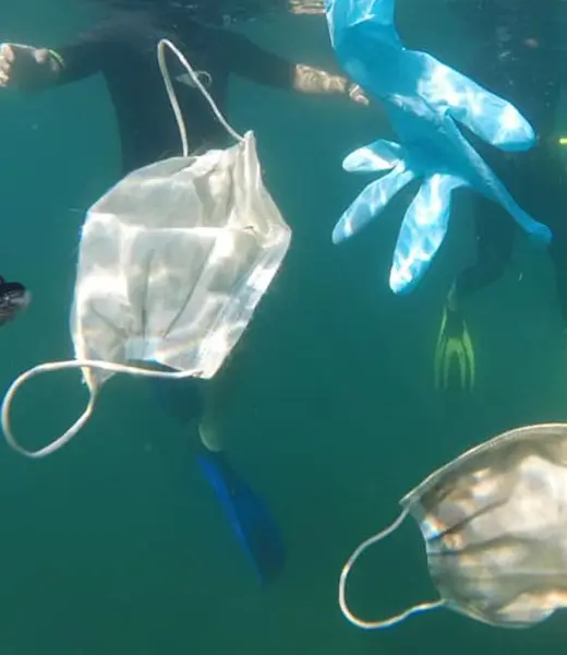 Estamos yendo a un mundo sin plásticos. Entrevista a Enrique Segovia de WWF España