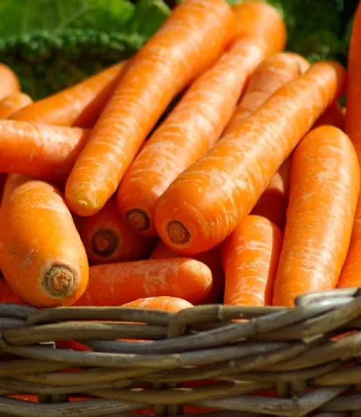 Consejos de alimentación para enfermos de Parkinson