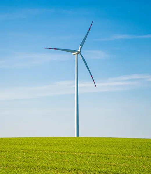 Un premio europeo para empresas comprometidas con el medio ambiente