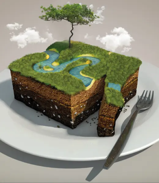 Luchar contra la desertificación, otra forma de acabar con el hambre