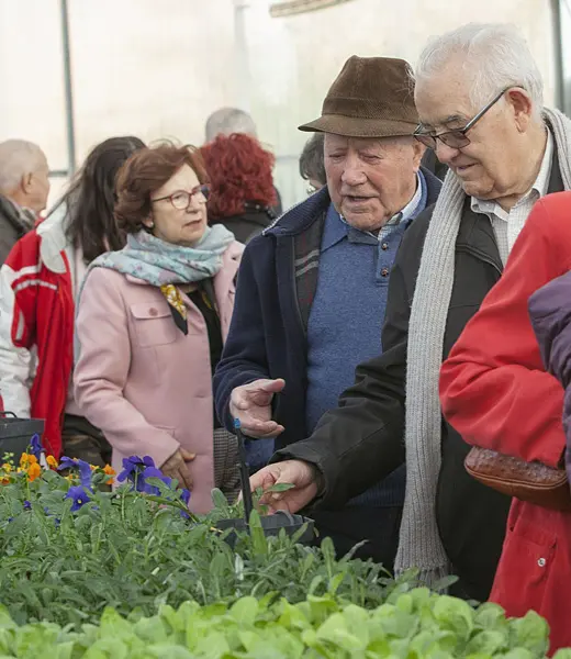 Aprende a cuidar de tus plantas en nuestra Plataforma Online para Mayores