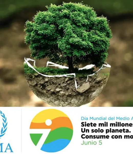 ¿Cuál es tu sueño para el Día Mundial del Medio Ambiente?