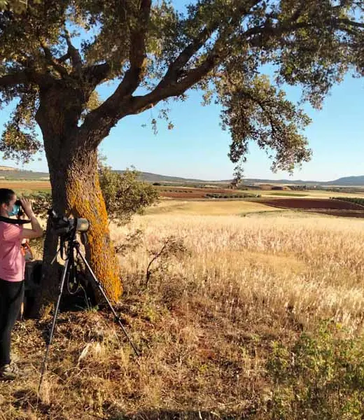 Presenta tu proyecto a la V Convocatoria de Medioambiente y Desarrollo Sostenible