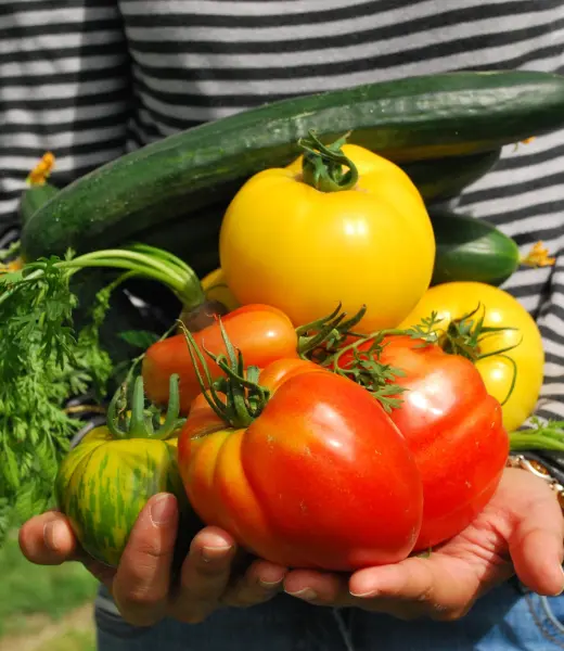 Huertos Montemadrid: La revolución verde