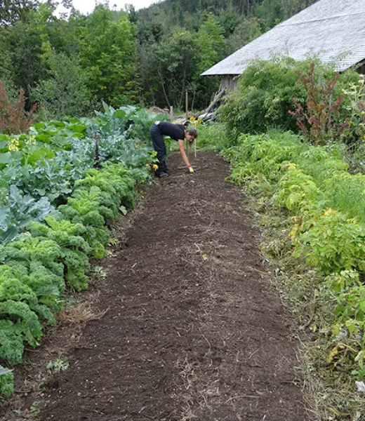 Empleo verde: otra forma de trabajar