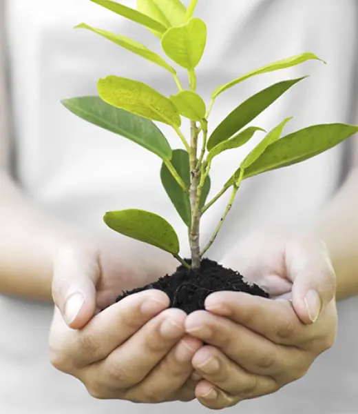 'Un árbol por el párkinson', sensibilizando y cuidando el medio ambiente
