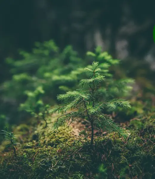Día Europeo de los Parques: cuidar nuestra naturaleza es vivir mejor