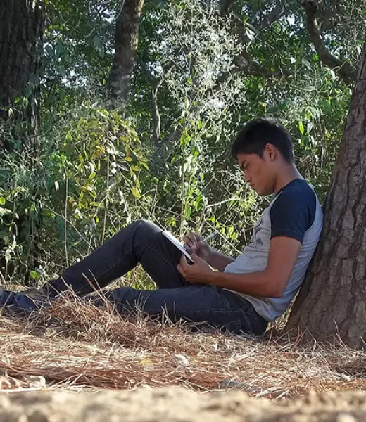 Gana más de 9.000 euros con tus mejores poemas sobre la naturaleza
