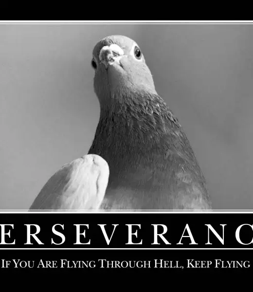 Exposición Inéditos 2019