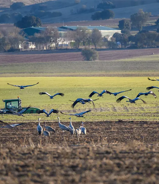 La V Convocatoria de Medioambiente selecciona 20 nuevos proyectos en Madrid y Castilla-La Mancha