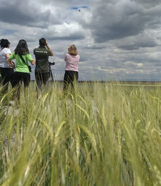 Resolución II Convocatoria Medioambiente Desarrollo Sostenible