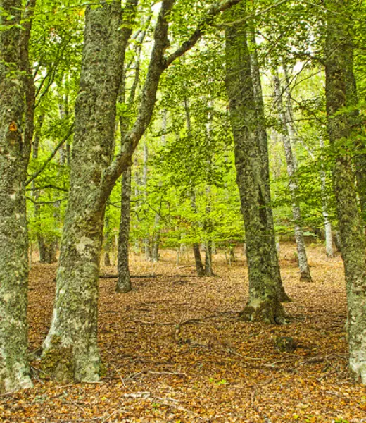 Diviértete 'en verde' con los Centros de Educación Ambiental