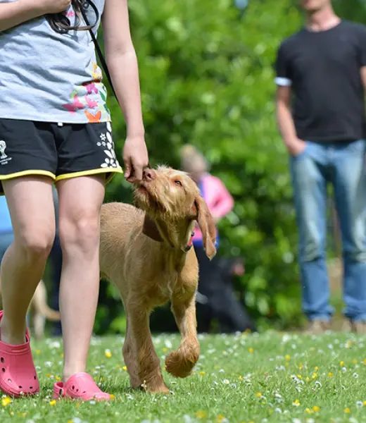 Así funcionan las terapias con animales para niños con discapacidad