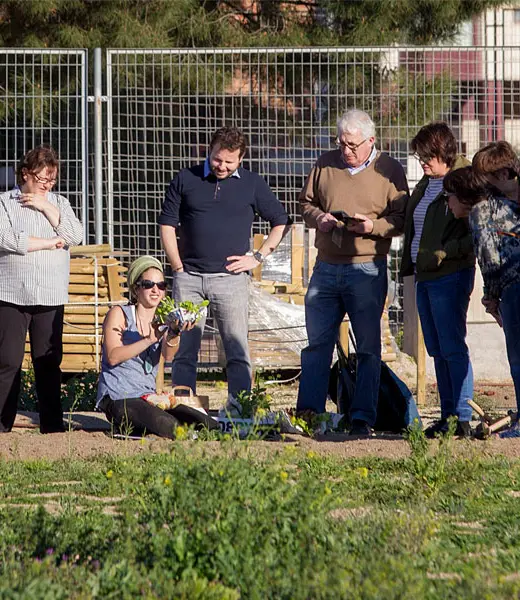Cultiva la amistad, el huerto urbano como espacio de encuentro