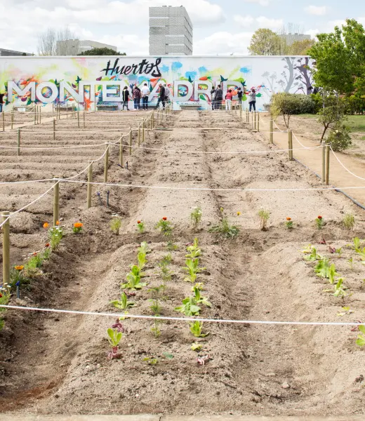 Así fue la Jornada de puertas abiertas en Huertos Montemadrid