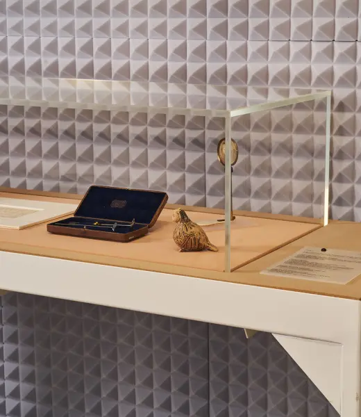 Entrevistamos a Bárbara Rodríguez, comisaria en Inéditos 2011