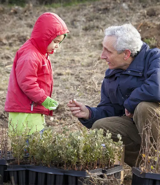Nuevos árboles para capturar el CO2 en la Sierra Norte de Madrid