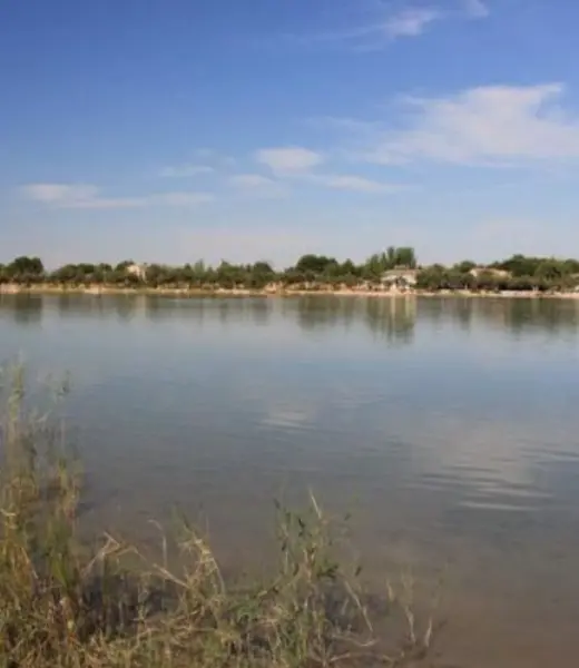 Día Mundial del Medioambiente: proyectos que apoyan la sostenibilidad