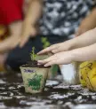 Clim-Acción: cómo impulsar la acción climática desde la educación