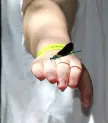 Este verano, campamentos de día en Fundación Montemadrid